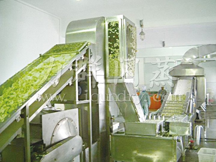 DWC系列脫水蔬菜帶式干燥機(jī)